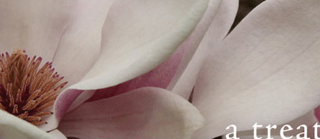 Magnolia Cottage Gifts - Chester, SC