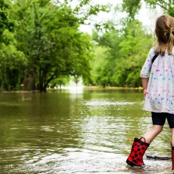 Get Flood Fluent Calculator