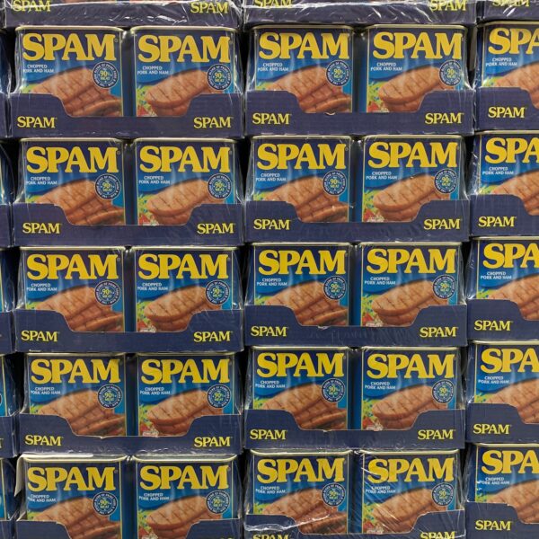 What happens to Spam once it is filtered?
