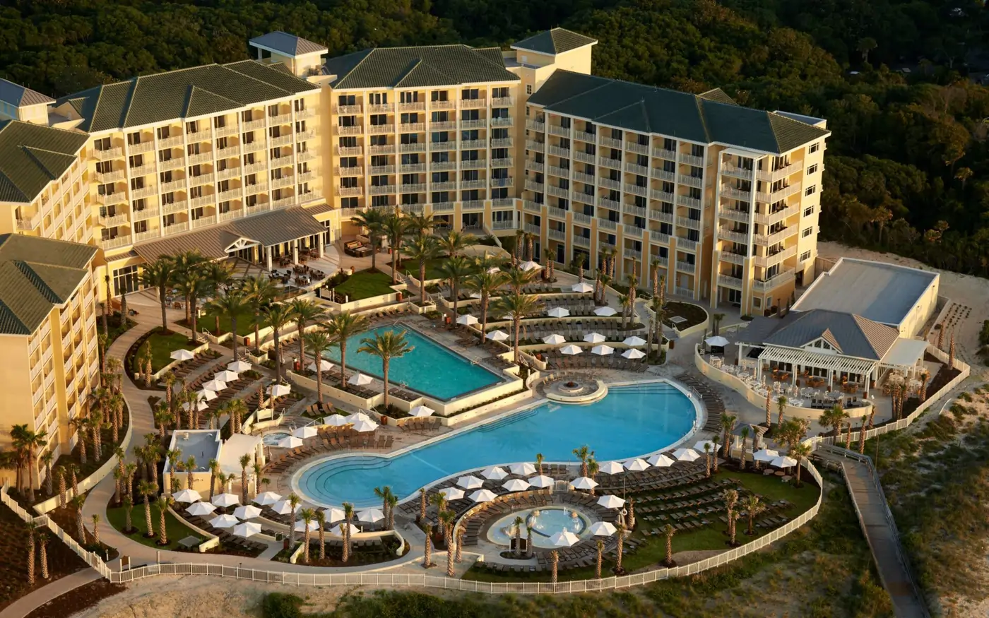 South Atlantic Cardiovascular Society